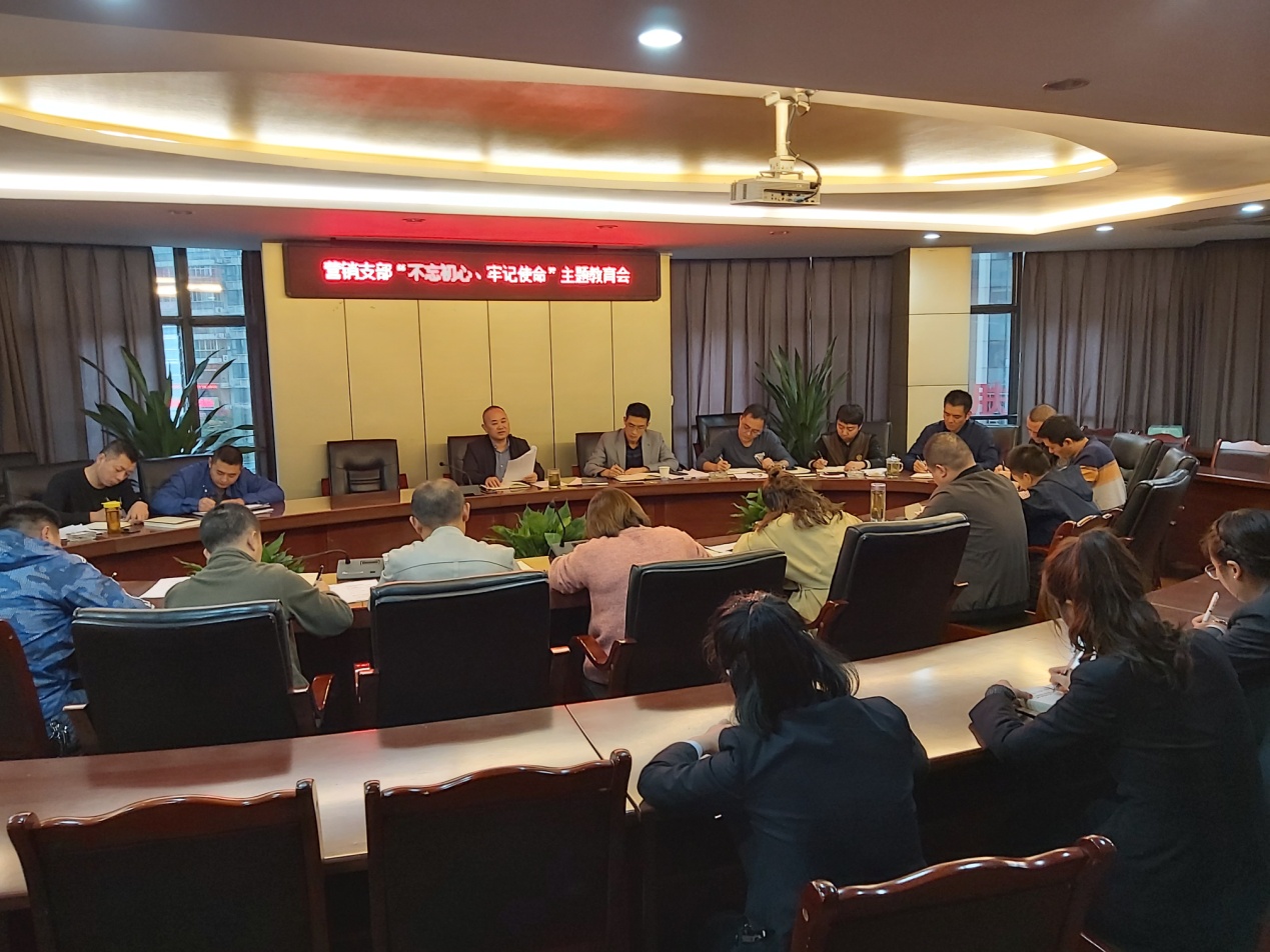 營(yíng)銷(xiāo)支部開(kāi)展黨課輔導(dǎo)暨組織生活會(huì)