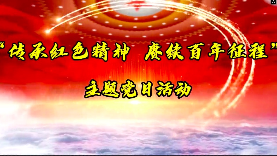 傳承紅色精神，賡續(xù)百年征程-共產(chǎn)黨員服務(wù)大隊(duì)主題黨日活動(dòng)